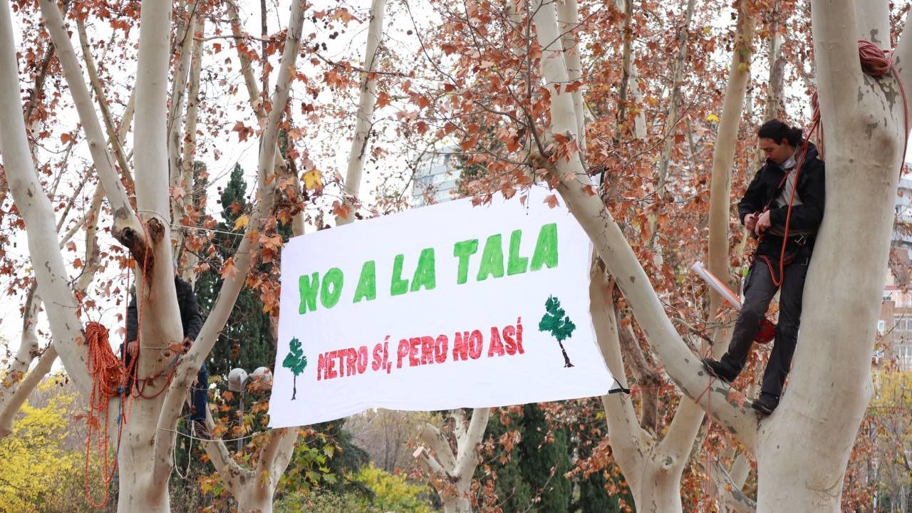 Activistas se atan a los árboles para evitar su tala (Foto: Mónica González - Road Experience)