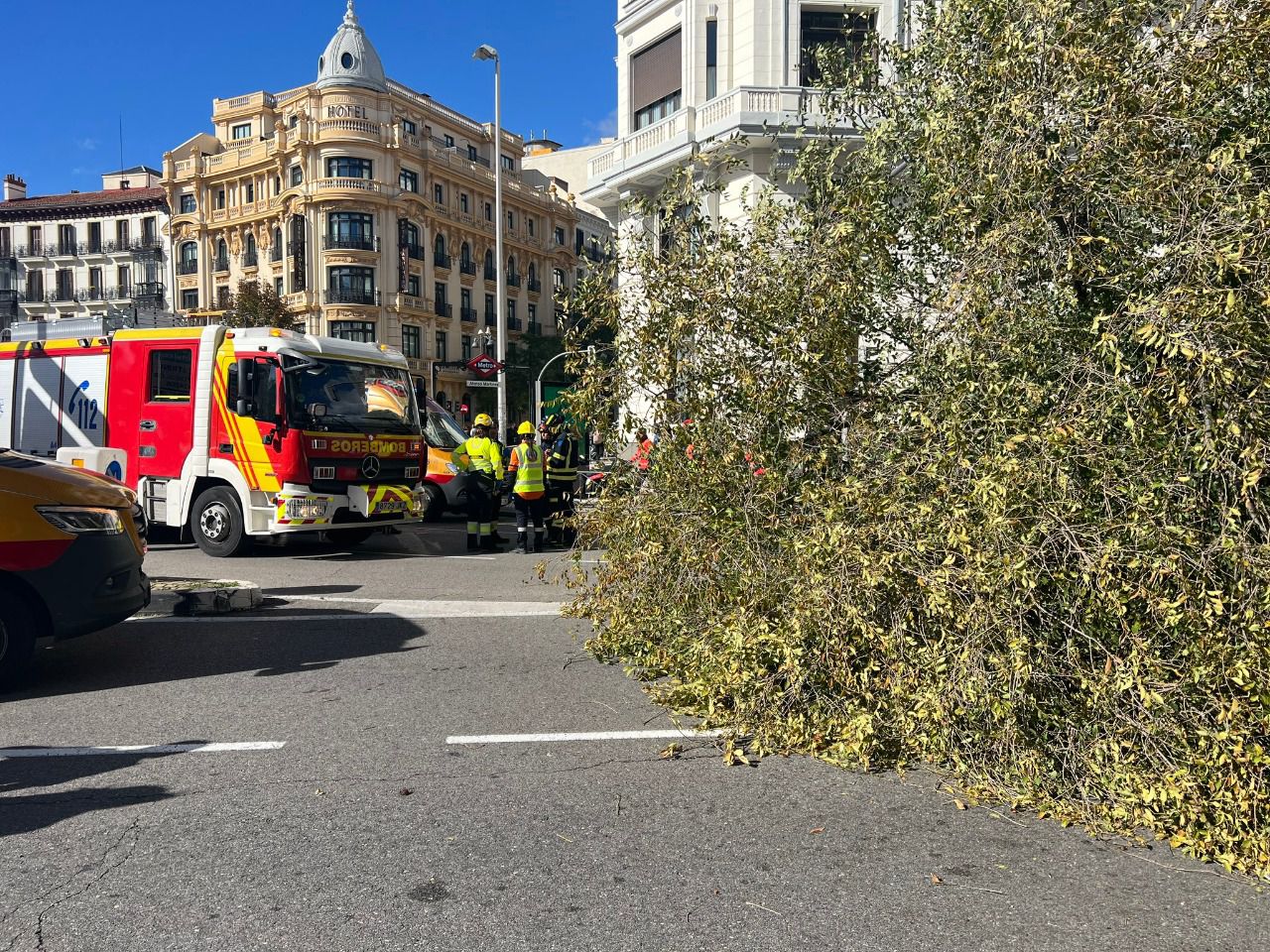 Árbol caído en la calle Almagro (Foto: Emergencias Madrid)