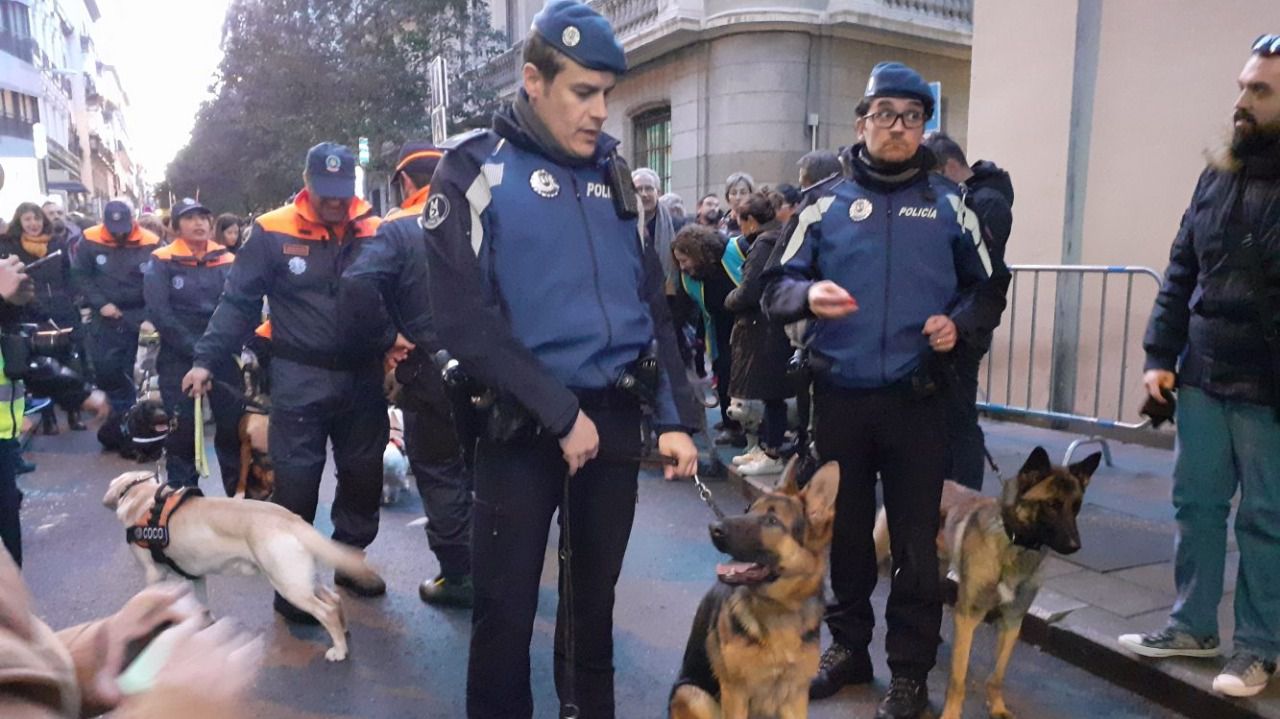 ección canina de la Policía Municipal en el San Antón de 2023. Foto: Ayuntamiento de Madrid