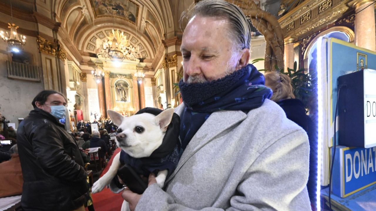 Un perro bendecido en el interior de la Iglesia de San Antón. (Foto: Chema Barroso)