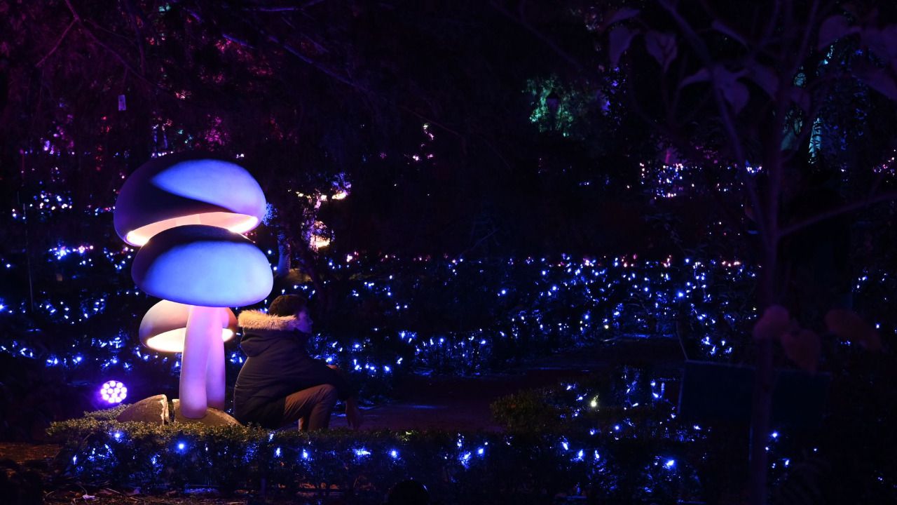 Naturaleza Encendida en 2022