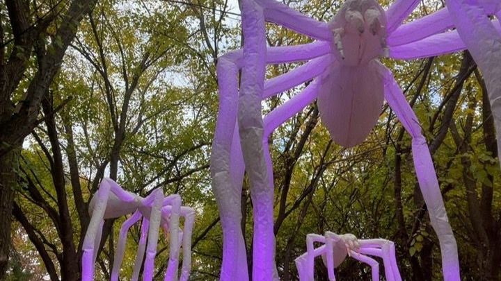 Figuras encendidas a las dos de la tarde (Fuente: Delicias para Tod@s)