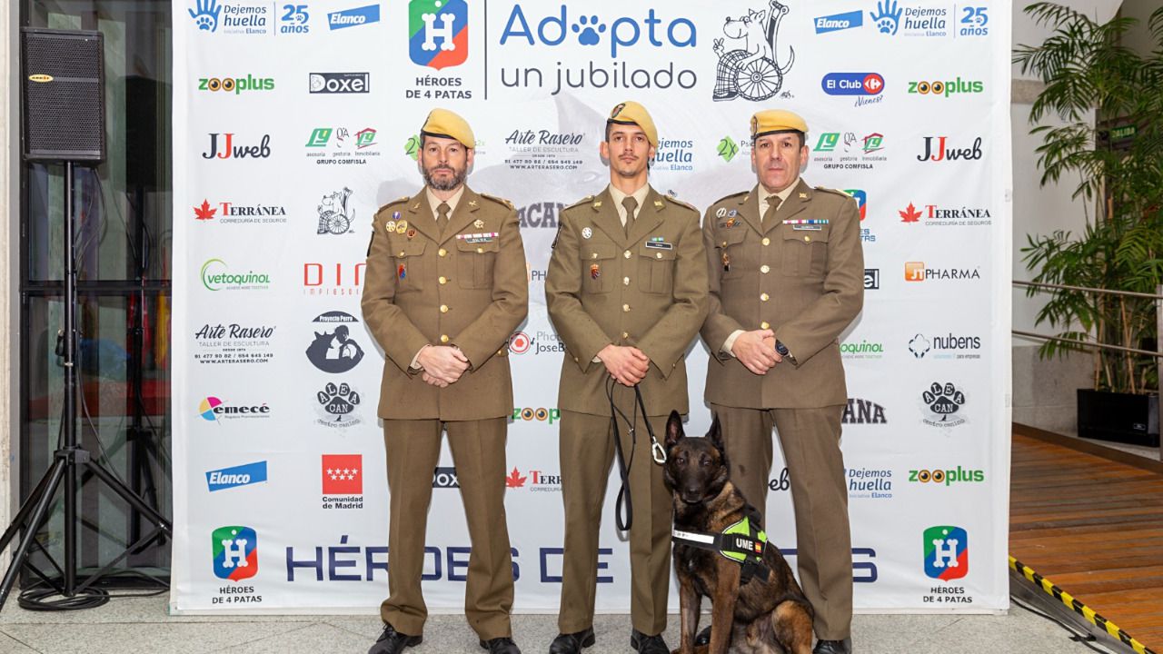 Foto: Héroes de 4 Patas