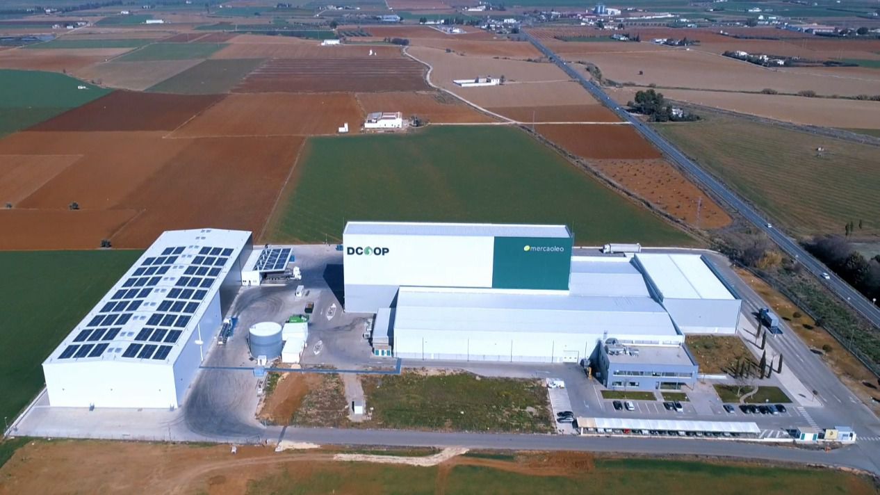Vista aérea exterior del Mercaóleo y bodega nueva (Foto: Dcoop)