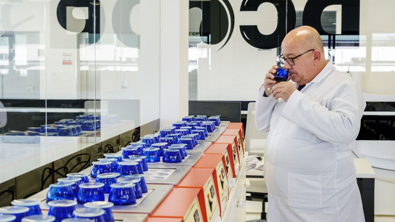 Laboratorio (Foto: Dcoop)