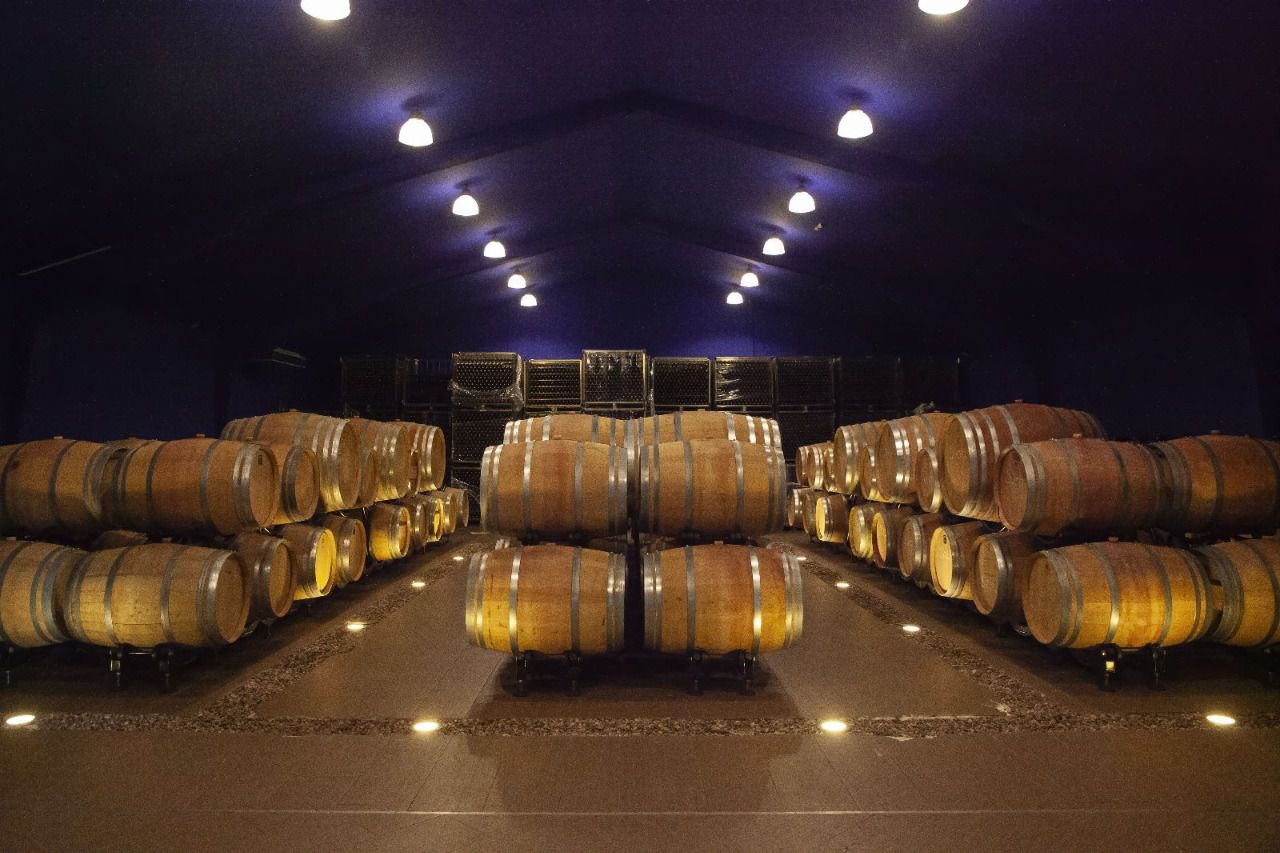 Barricas de la bodega (Foto: Bodega Val Azul)