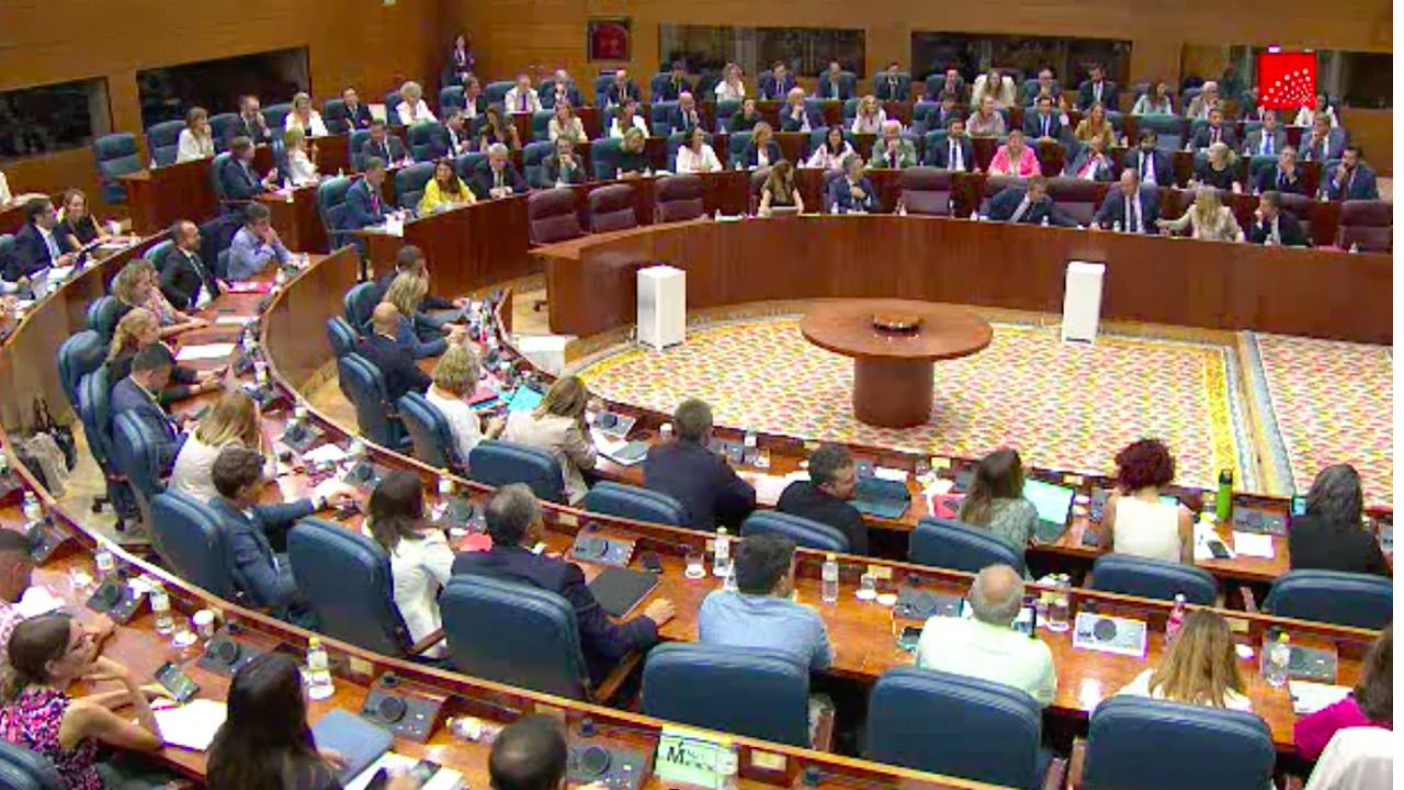 Momento en el que un diputado del PP vota en otro escaño. Foto: Asamblea de Madrid