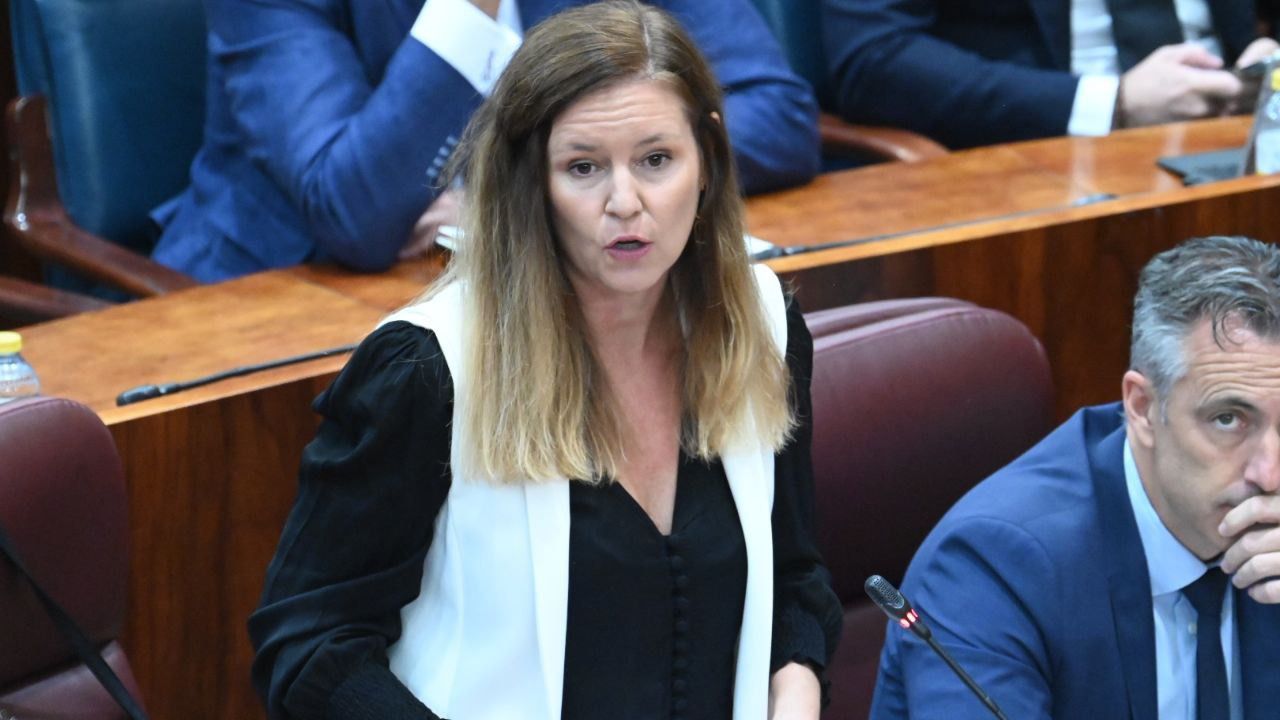 Ana Dávila interviene durante un Pleno (Foto: Chema Barroso)