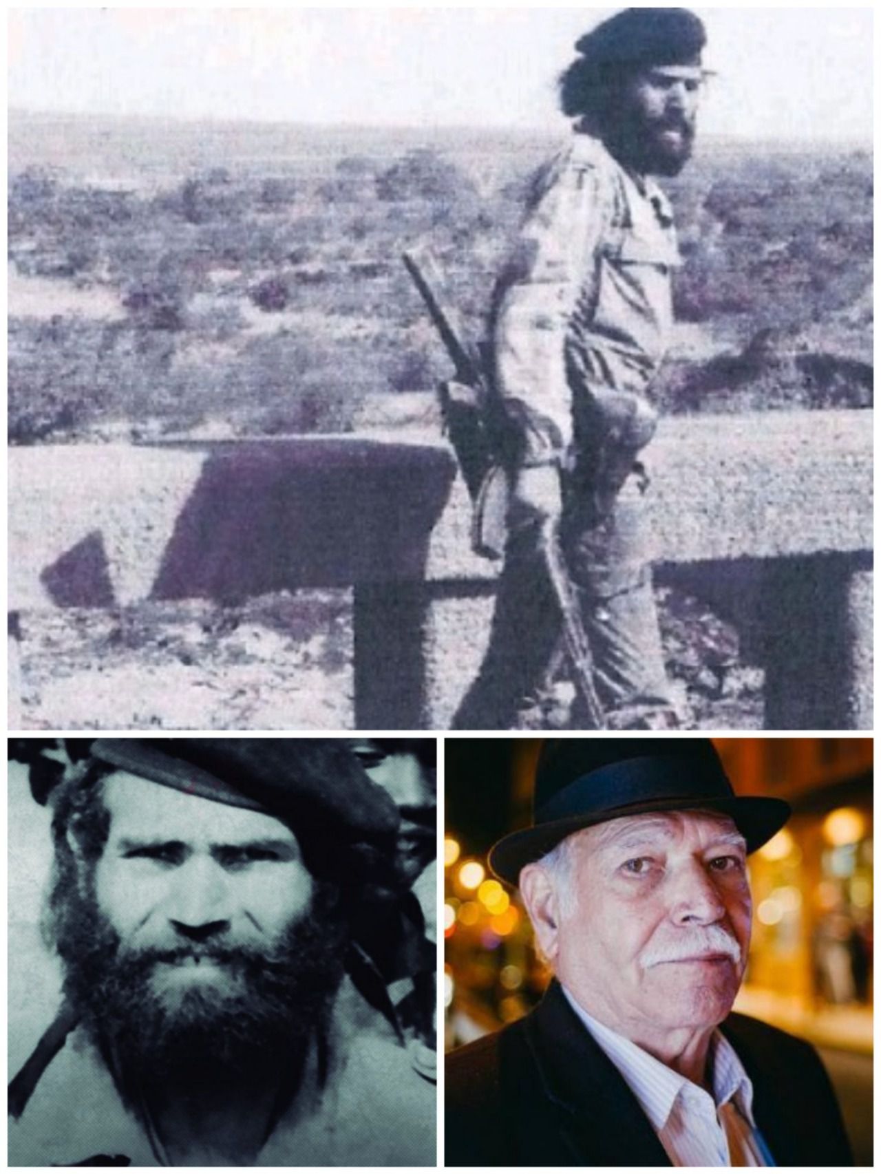 Collage de Farrusco