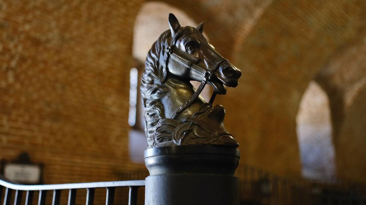 Detalle de las caballerizas del Palacio Real. Foto: Hola! Os paso las fotos de las Caballerizas Palacio Real. Autoría: María Vera María Vera-Road Experience Audiovisual