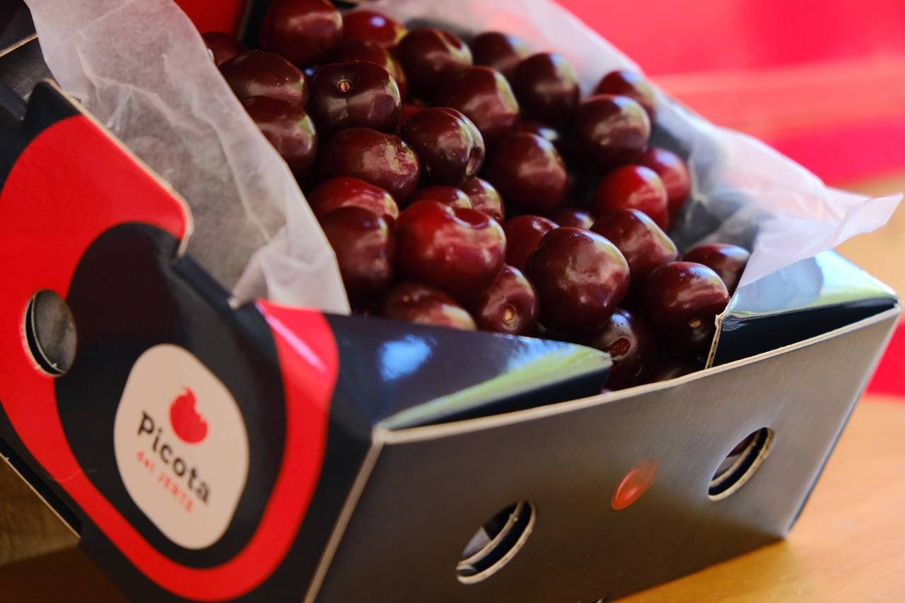 Foto: María Vera - Road Experience Audiovisual)