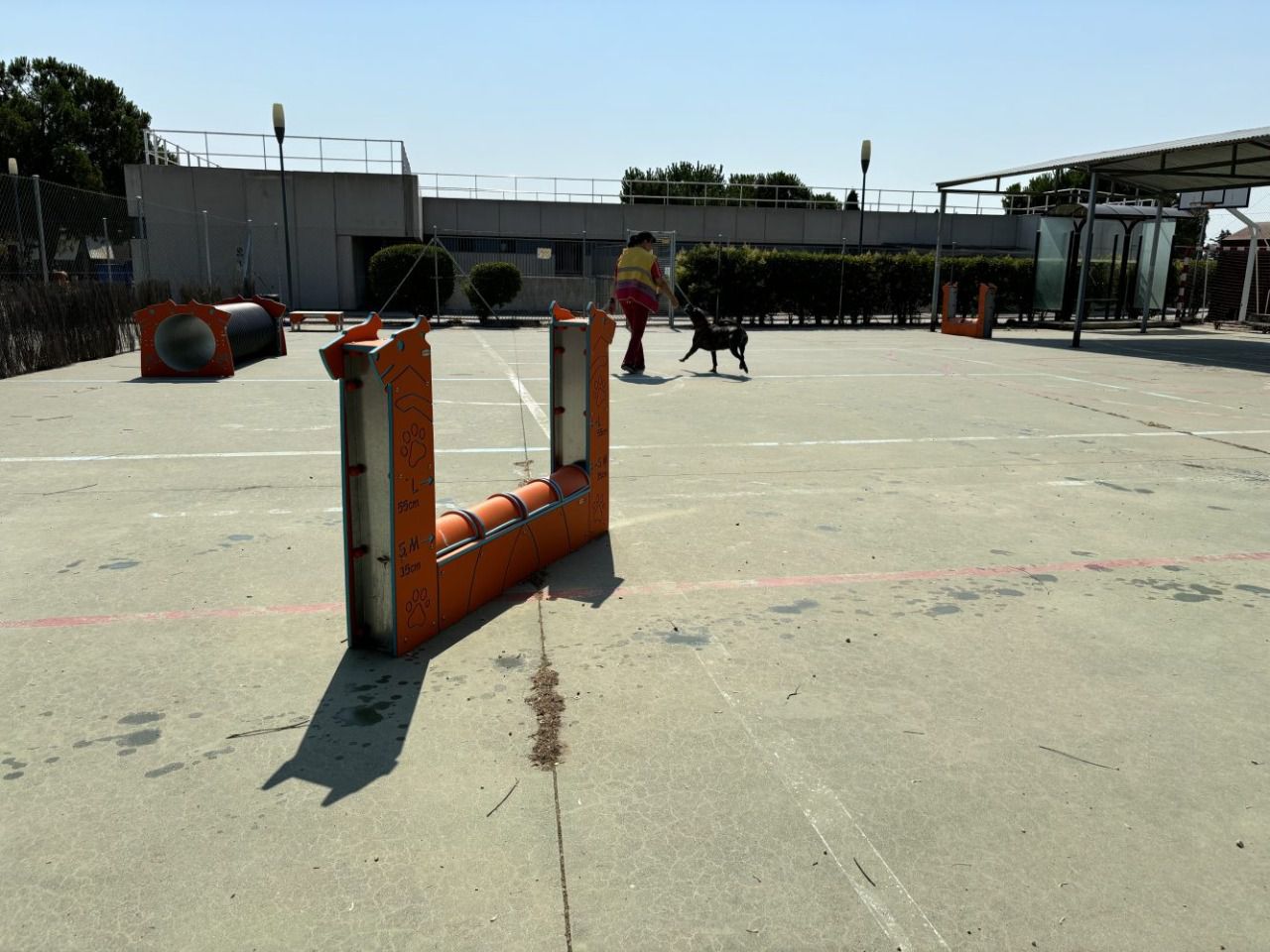 Instalaciones del Centro de Protección Animal.