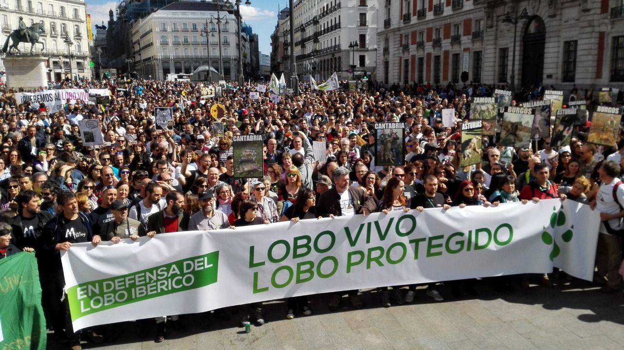 Imagen de archivo de una manifestación para pedir la protección del lobo ibérico (Foto: Theo Oberhuber)