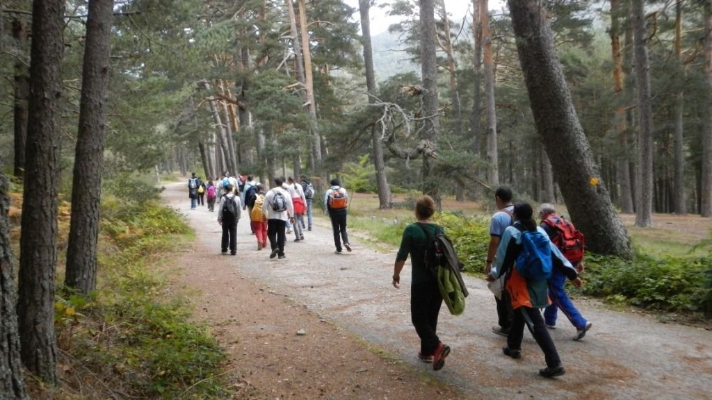Paseo por la sierra (Foto: Comunidad de Madrid)