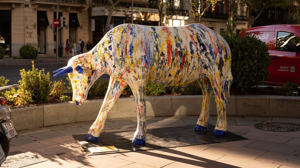Madrid Cow Gallery