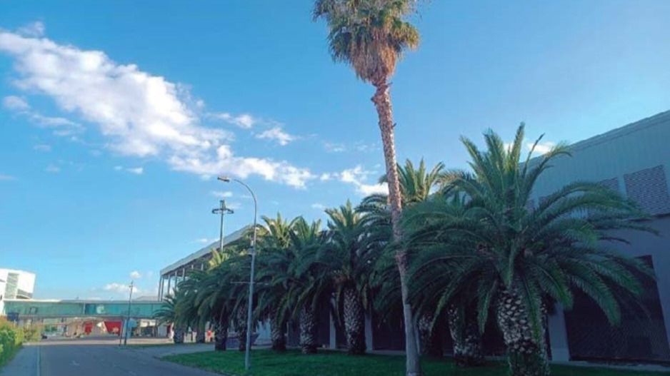 Foto: Asociación Vecinal de San Lorenzo