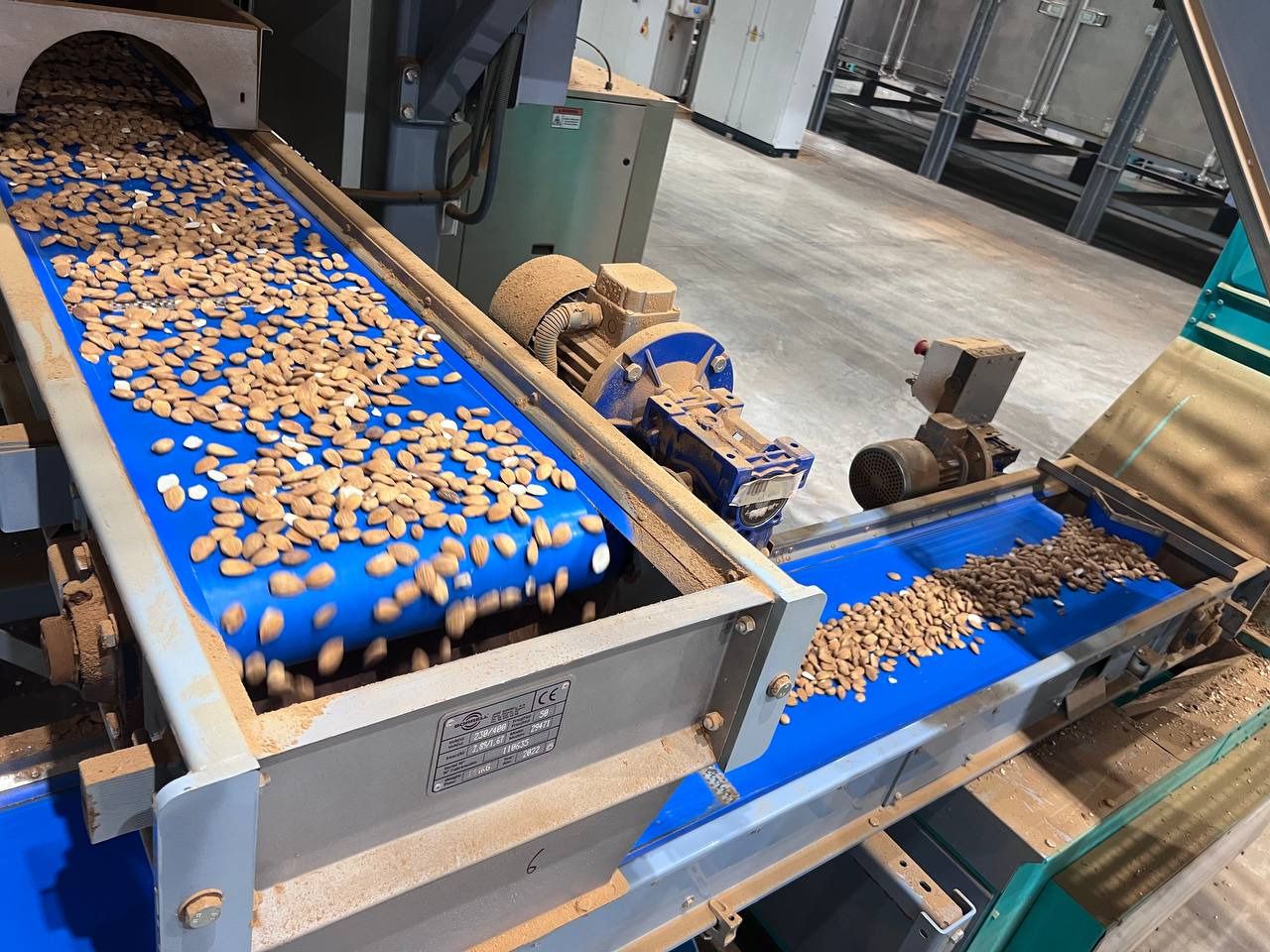 Las almendras en la planta de Córdoba