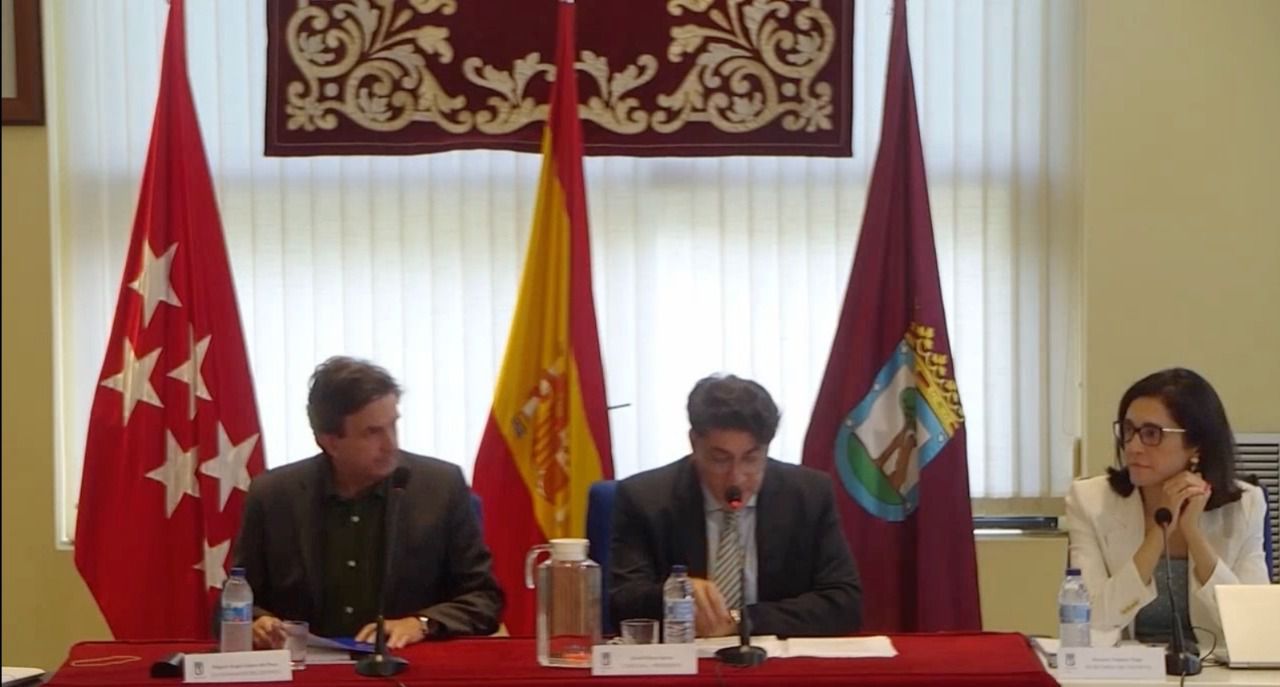 David Pérez en el Pleno de su reprobación (Foto: Ayuntamiento de Madrid)