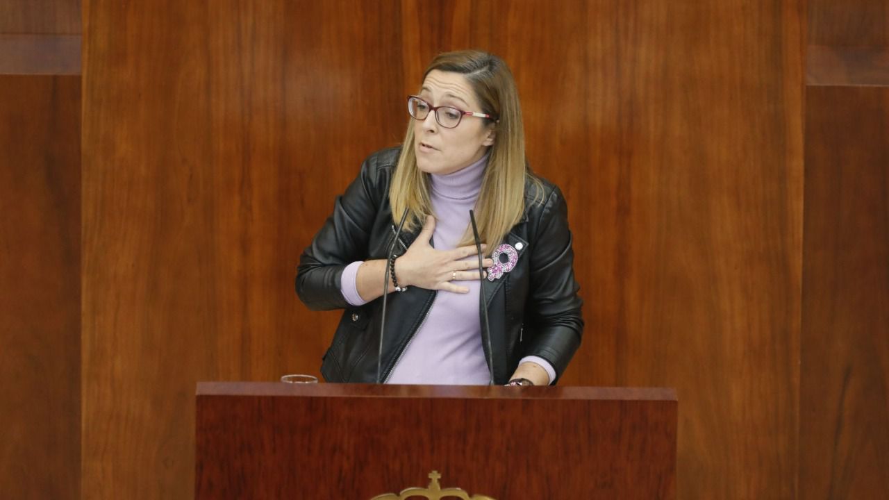 Lorena Morales durante un Pleno en la Asamblea (Foto: Europa Press)