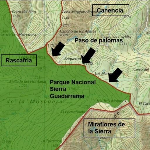 Paso de palomas en el collado El Boquerón, colindante al Parque Nacional de la Sierra de Guadarrama.