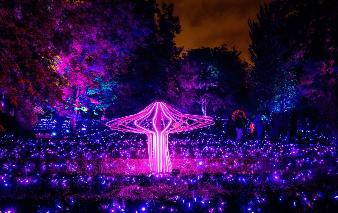 'Naturaleza Encendida: Life' (Foto: Letsgo)