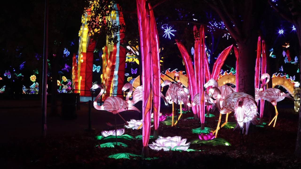 (Foto: Mónica González - Road Experience)