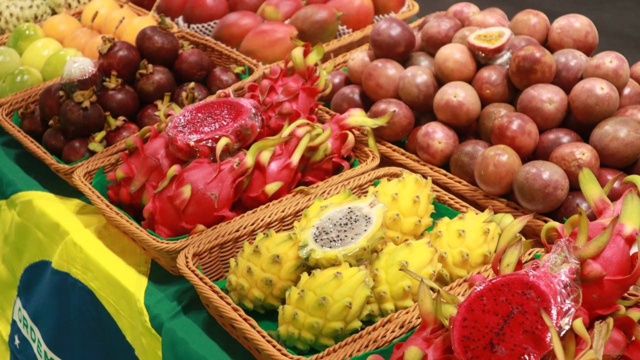 Fruit Attraction 2024 (Foto: Mónica González - Road Experience Audiovisual)