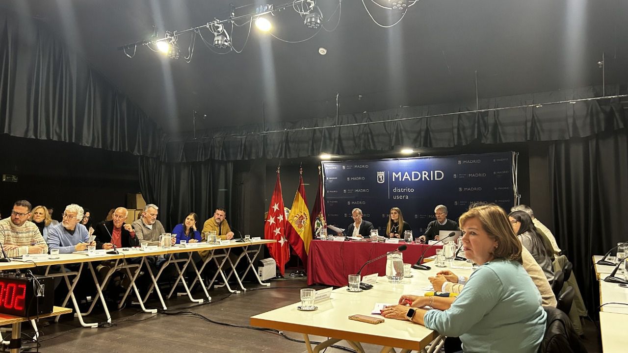 Sesión plenaria en la Junta de Usera.