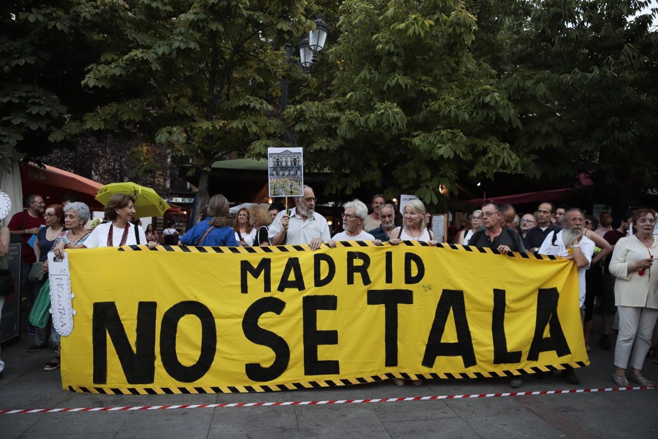 Una de las manifestaciones contra la tala de árboles en la Plaza Santa Ana (Foto: FRAVM)