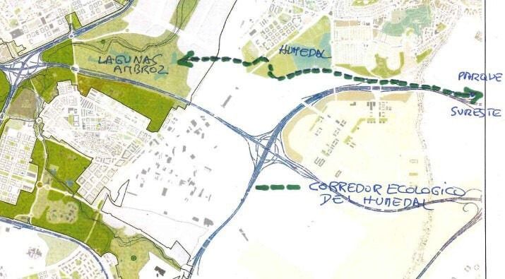 (Foto: SEO Birdlife)