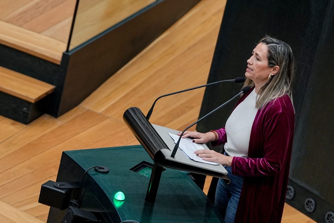  Yolanda Estrada, en el pleno