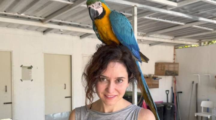 Isabel Díaz Ayuso en el santuario de Frank Cuesta (Foto: Redes sociales de Frank Cuesta)