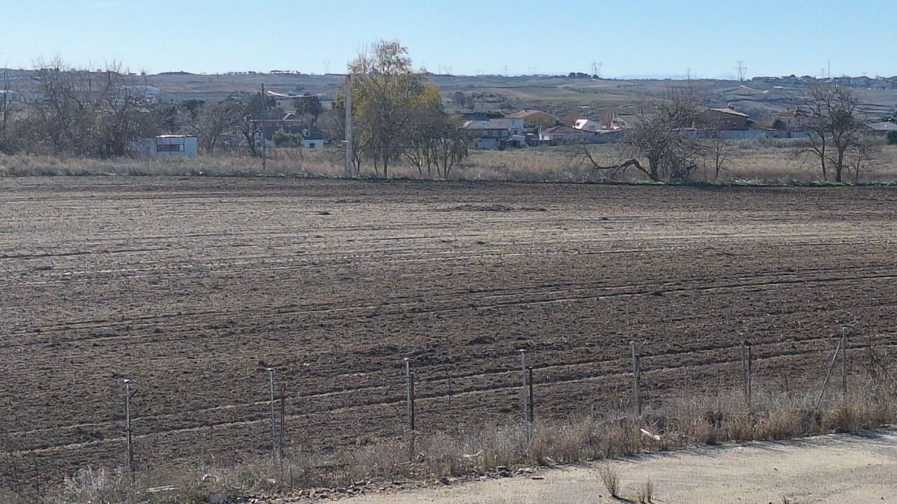 Parcela propuesta para la construcción de la planta (Foto: Ecologistas en Acción)