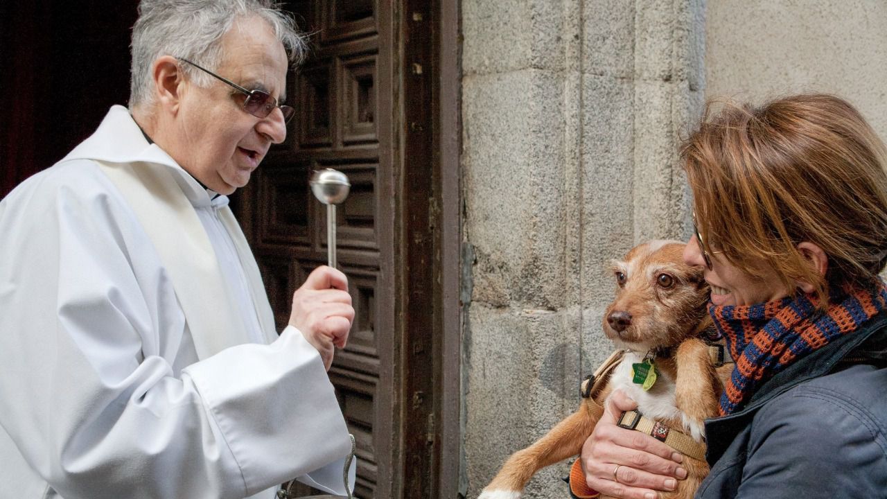 Bendición de animales en San Antón (Foto: Antonio Castro)