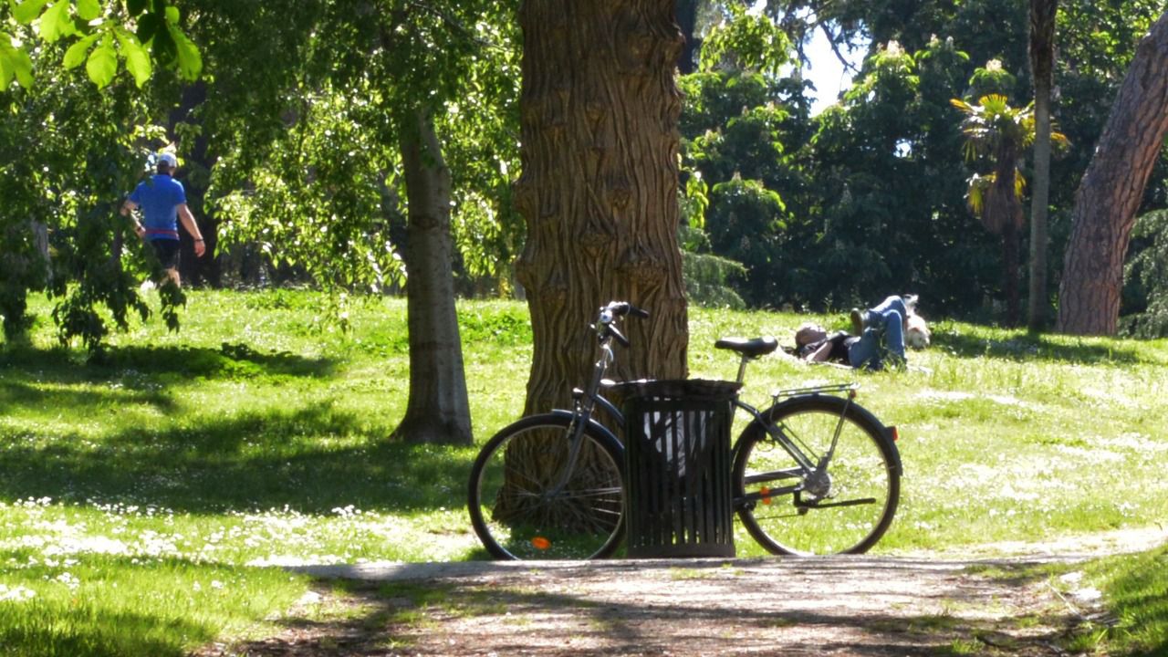 Parque de El Retiro (Foto: Hugo Lescura)