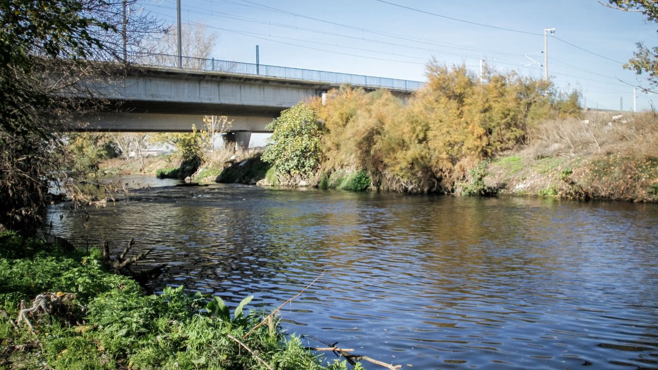 El Manzanares a su paso por Getafe (Foto: Kike Rincón)