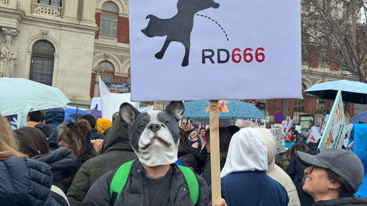 Concentración en Madrid