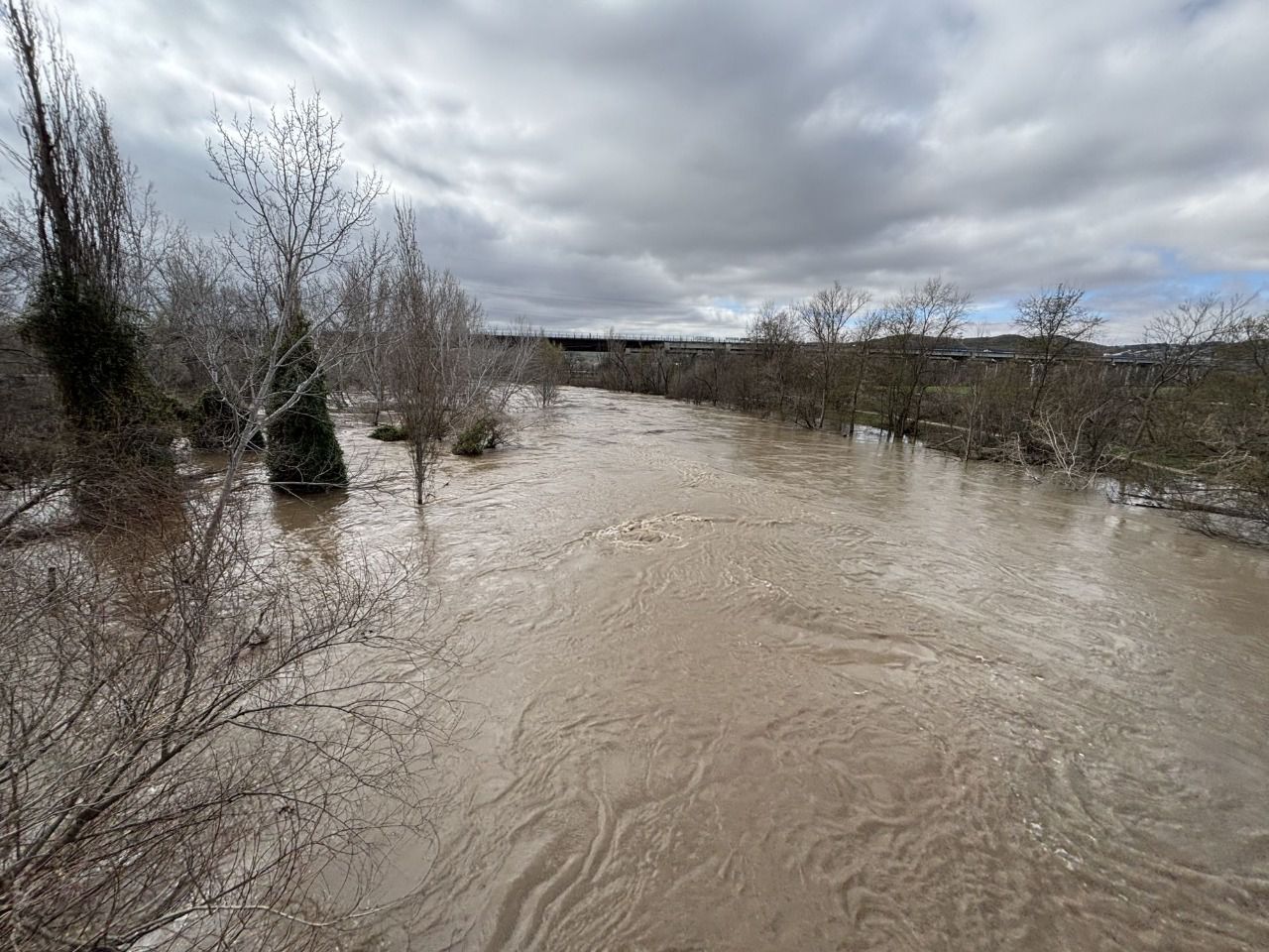 Río Jarama (Foto: Ayuntamiento de Mejorada del Campo)