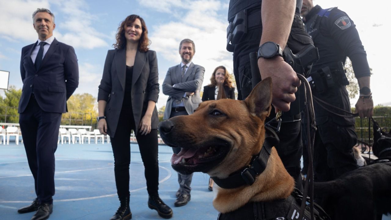 Ayuso presenta su Plan Regional contra las Drogas (Foto: Comunidad de Madrid)