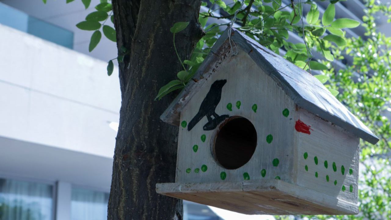 Una de las cajas nido colocadas por los usuarios de la Resco