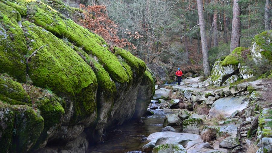 Camino Pesquerías, en Valsaín (Foto: Alfredo Merino)