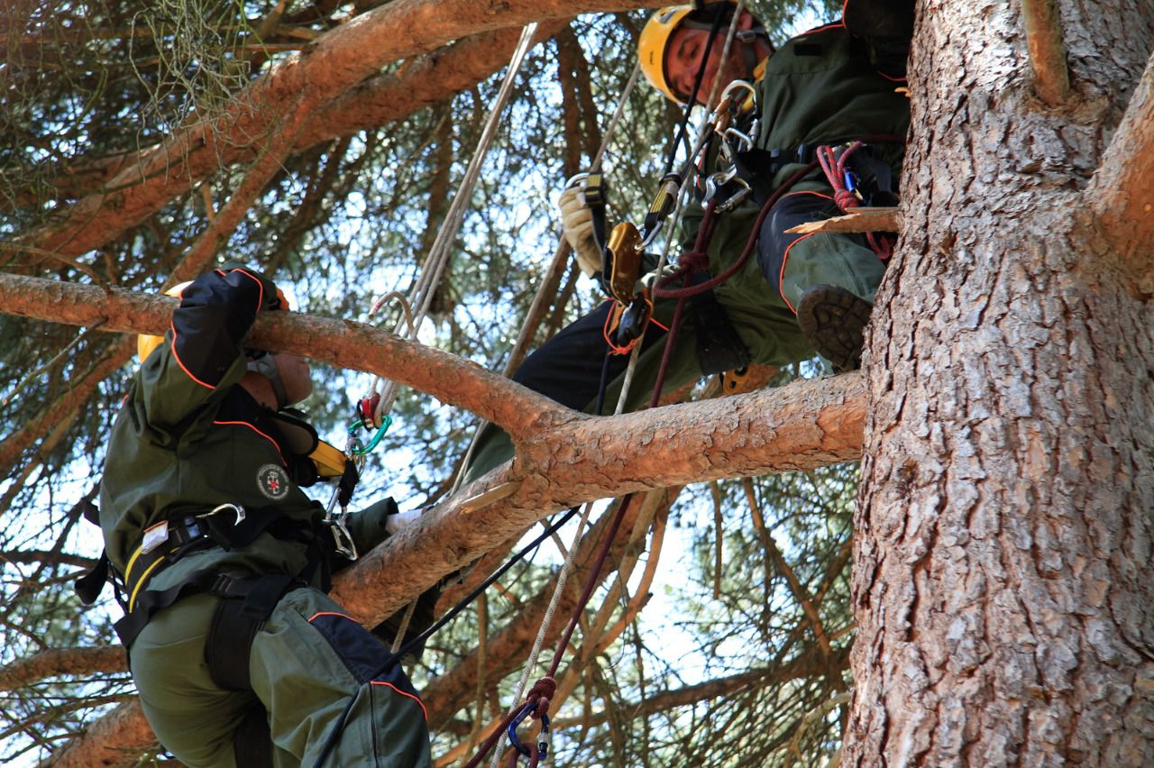 Imagen de archivo de agentes forestales (Foto: Raúl Torrero)
