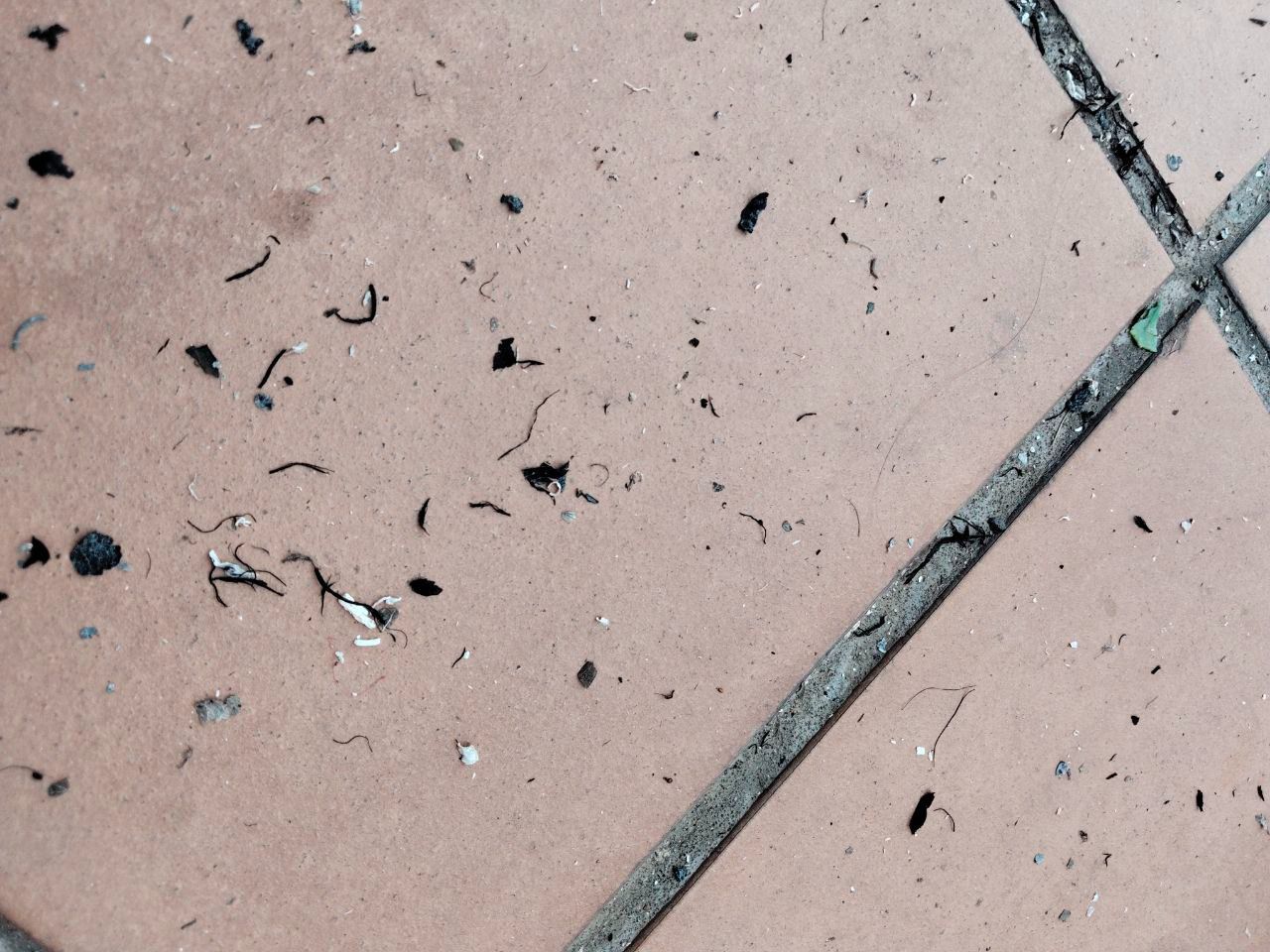 Pavesas procedentes del incendio de Méntrida caídas en la terraza de una vivienda de Argüelles (Foto: MDO)