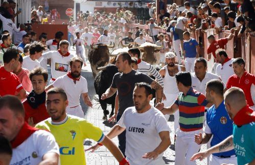 Encierros de Sanse (Foto: Ayuntamiento de San Sebastián de los Reyes)