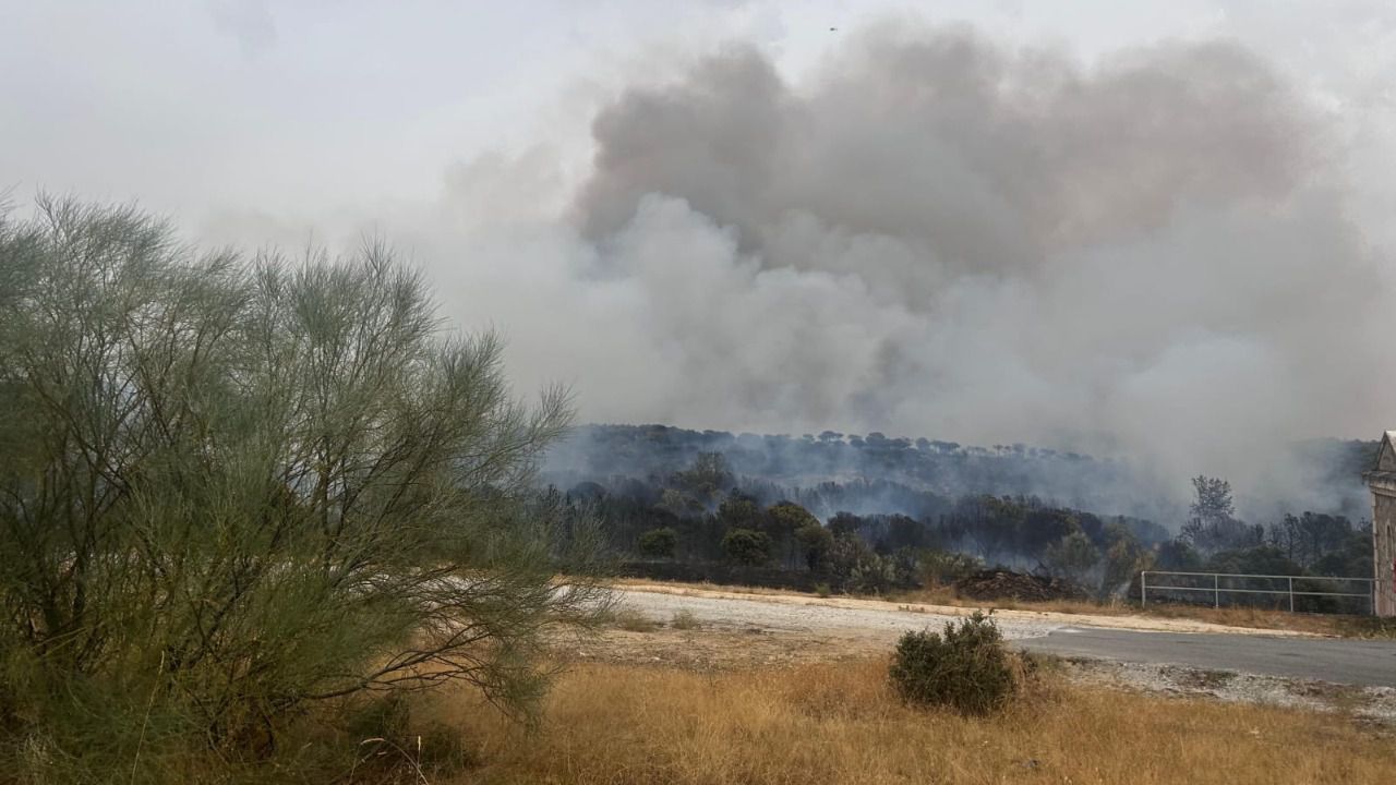 Incendio en Colmenar Viejo
