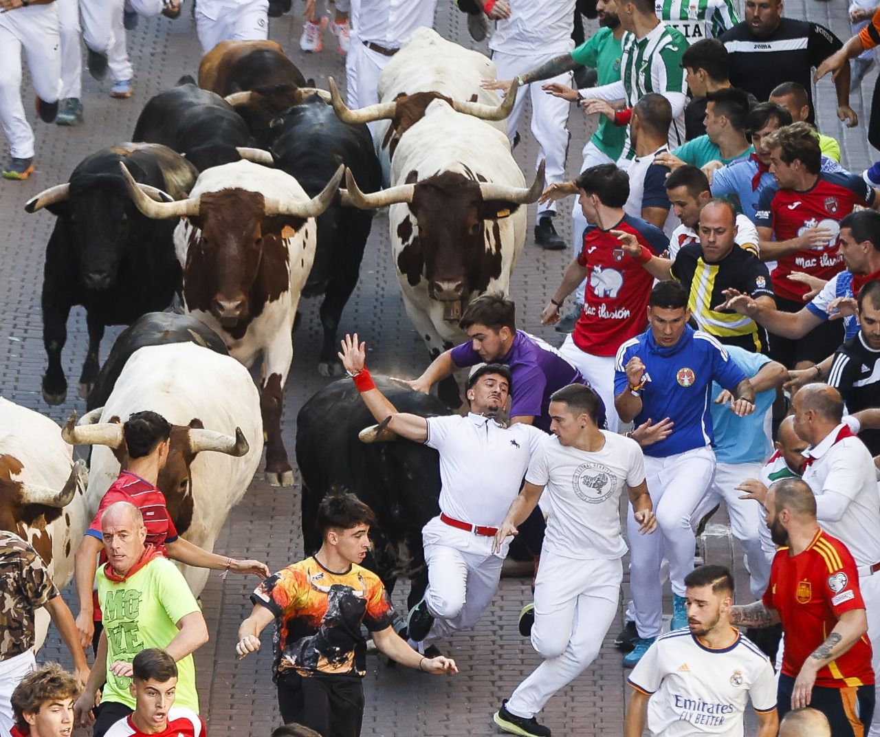 Encierro de hoy de San Sebastián de los Reyes
