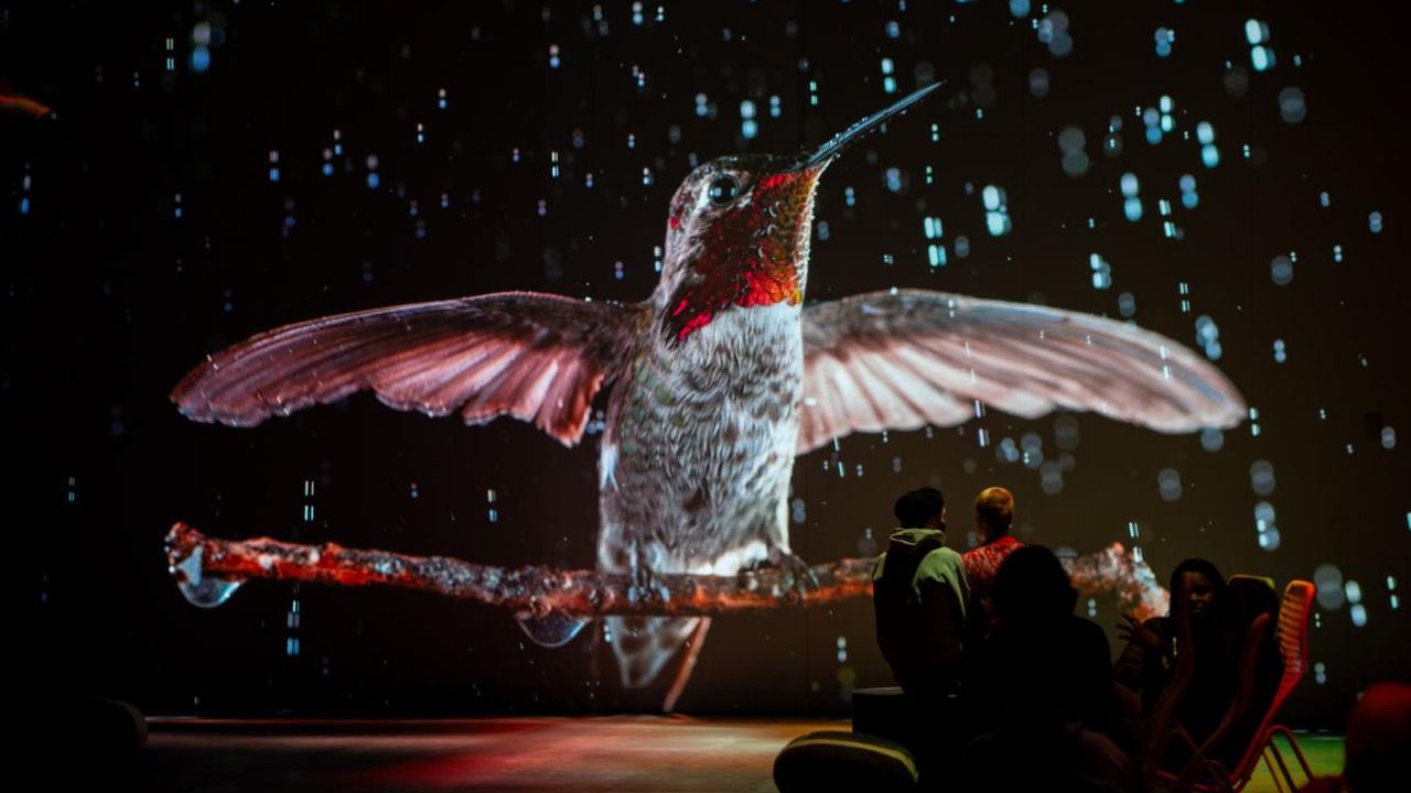 Una de las salas de la exposición Somos naturaleza.© OASIS Immersive Studios