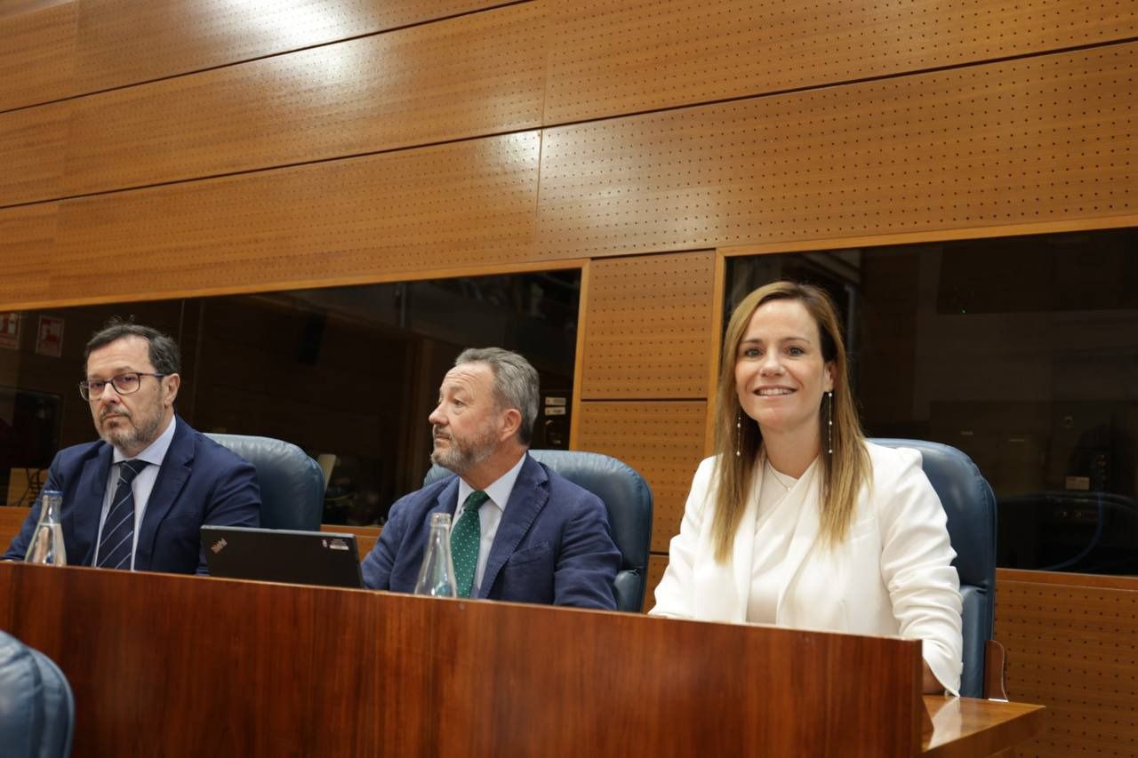  Isabel Pérez Moñino, portavoz de Vox en la Asamblea