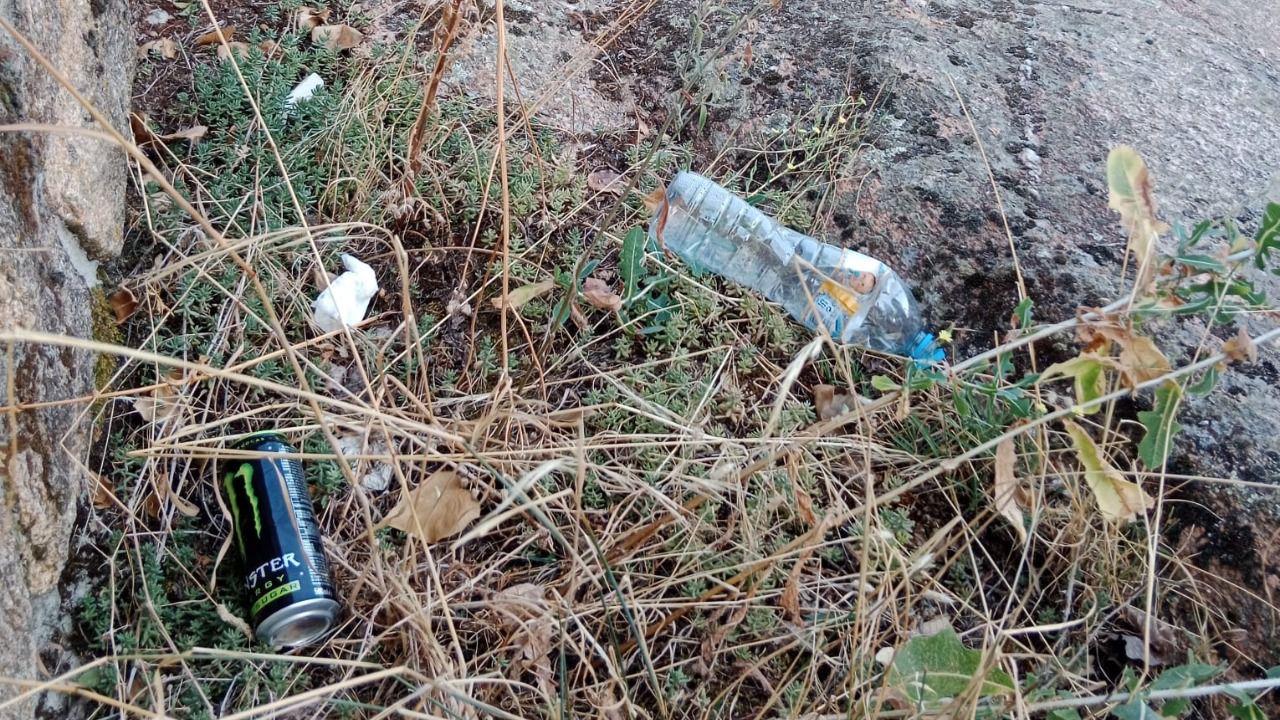 Molestias generadas por las crecidas del río Manzanares