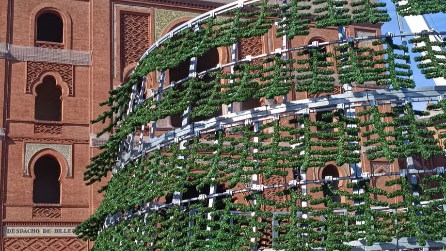 Árbol de Navidad en la Plaza de Ventas